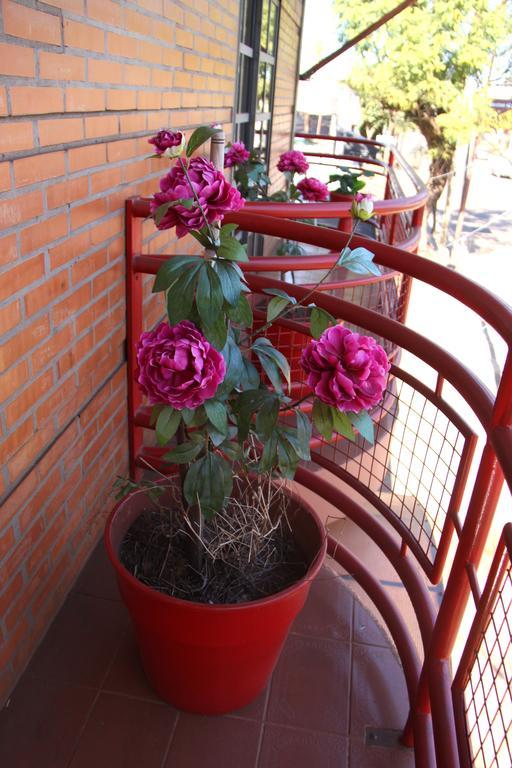 Hosteria Maryland Posadas Bagian luar foto
